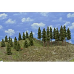 Wald TT36,Bäume, Fichten, 5-15cm, 25 Stück