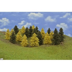 Forest N40 - Pines, autumn larches, height 6-10cm, 20pcs
