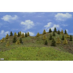 Wald HO23, Fichten, Lärchen gelb, 3-5cm, 30 Stück