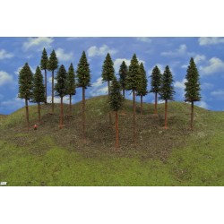 Forest TT41 - Spruces and pines with roots, height 14-20cm, 15pcs